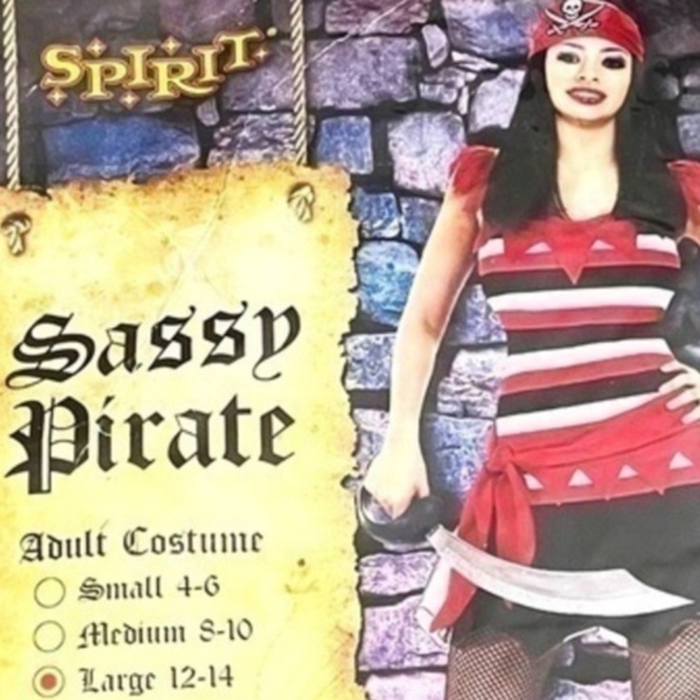Sassy Pirate Costume! - Picture 2 of 3